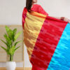 red-and-blue-pure-silk-katan-3d-saree-back
